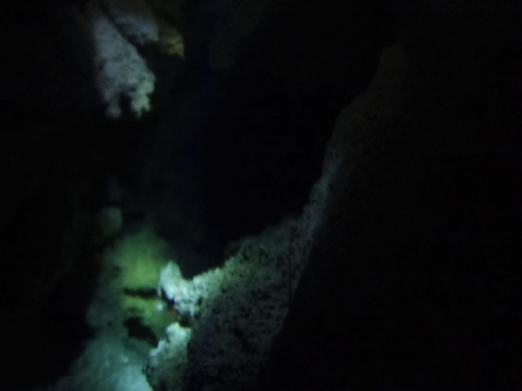 kristal cave in kupang underwater