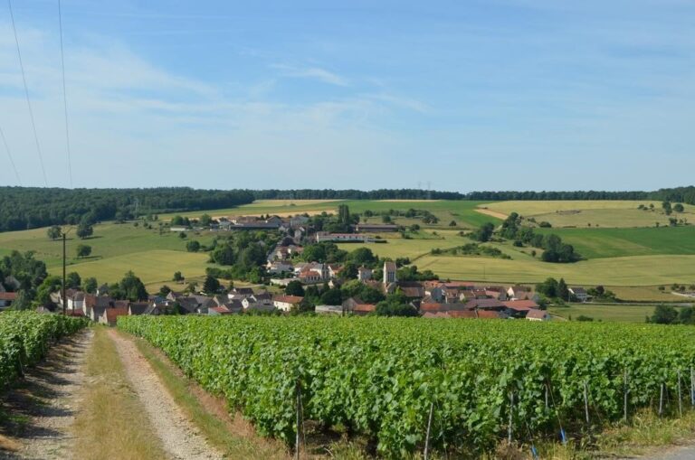 Vines above the rooftops of Baslieux-sous-Chatillon in the Champagne countryside