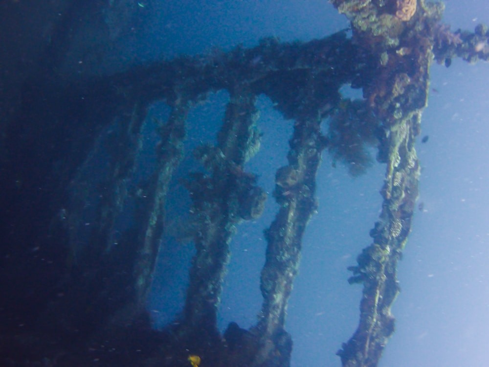 Diving Tulamben - the wreck