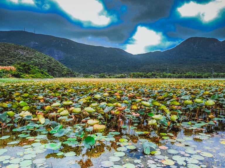 What to do in Con Dao, Vietnam Island Nature Pic