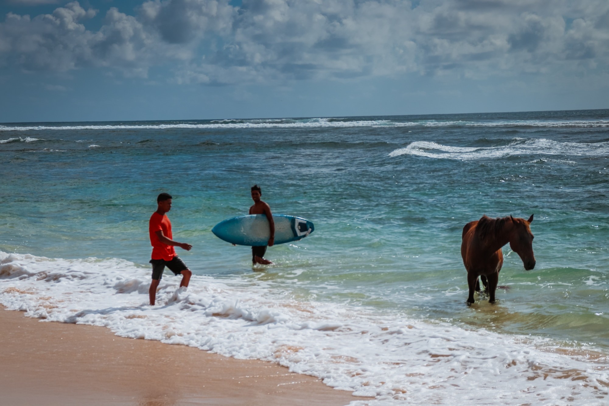 Nihi Sumba review - a surfer and a horse