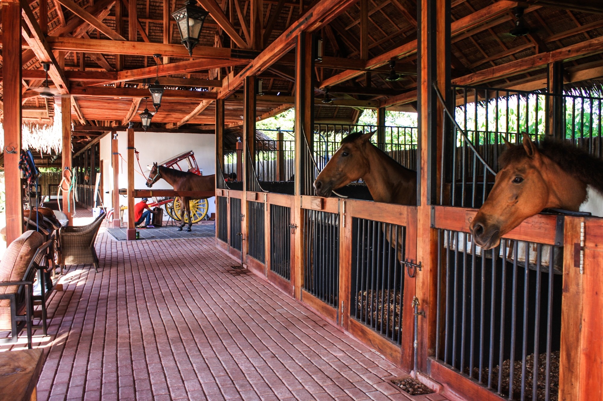 Donatela resort in Bohol - The equestrian center