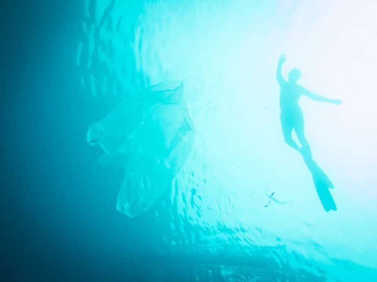 Defeating my fear of free diving with the free diving certification course Amed free diving
