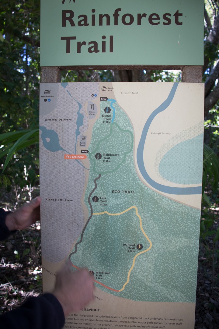 Elements of Byron, byron bay, rainforest walk