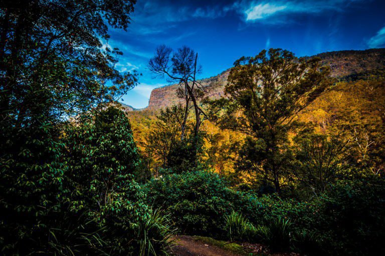 Taking a deep breath at nightfall luxury camp, Queensland, Australia Nightafall