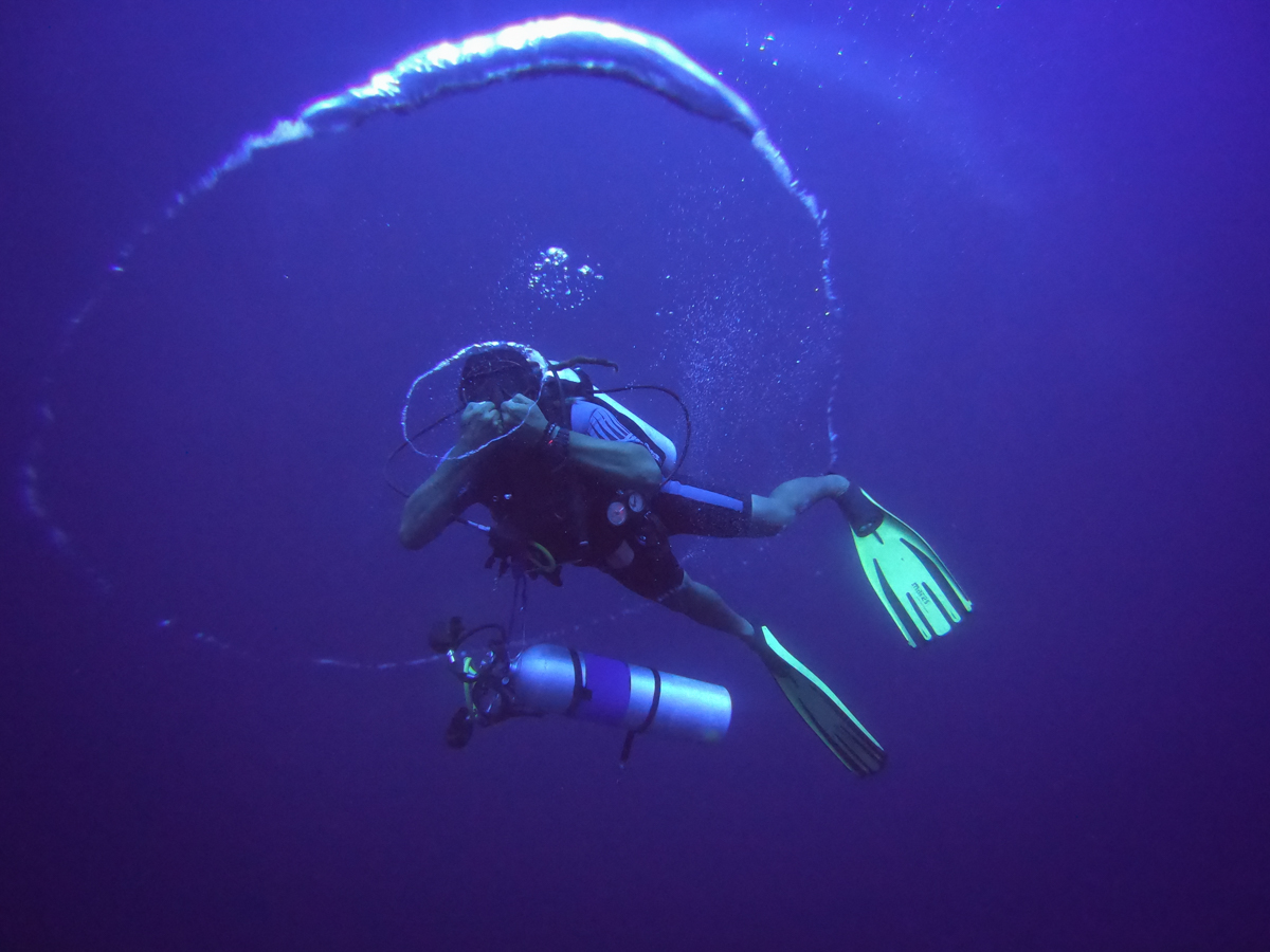 Neomi liveaboard diving Suanggi