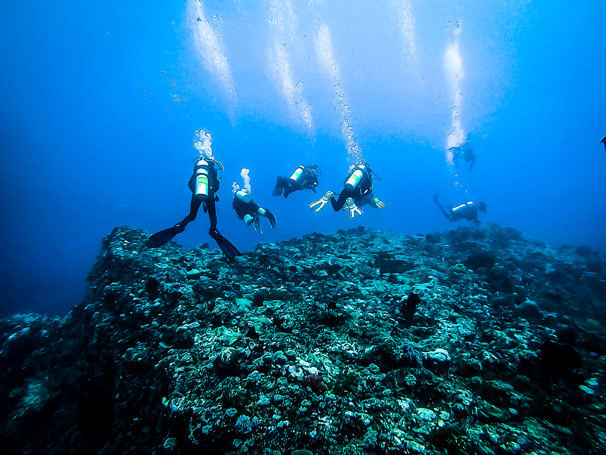 Sunshine liveaboard review: Uncrowded diving in Sangihe islands with