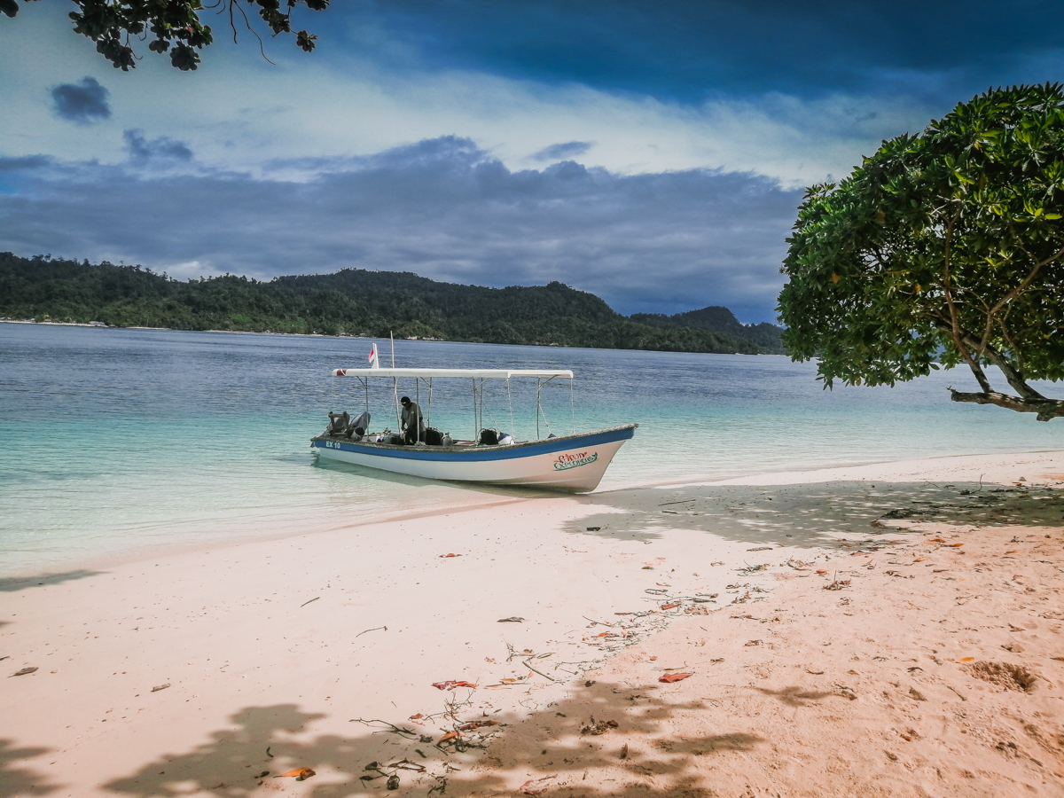 Raja Ampat resort review Papua explorer 