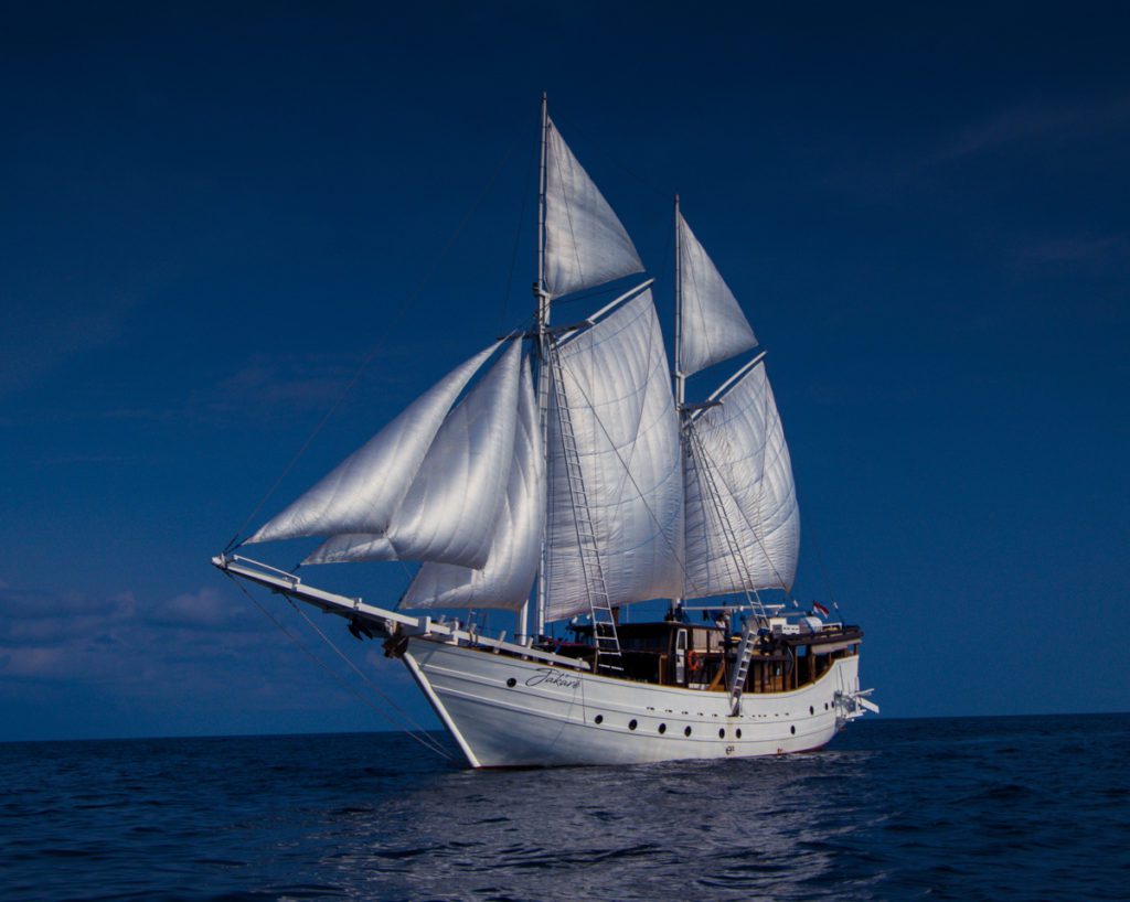 Liveaboard review: Exploring the fabulous Halmahera diving with the Jakare liveaboard and Konjo Cruising indonesia