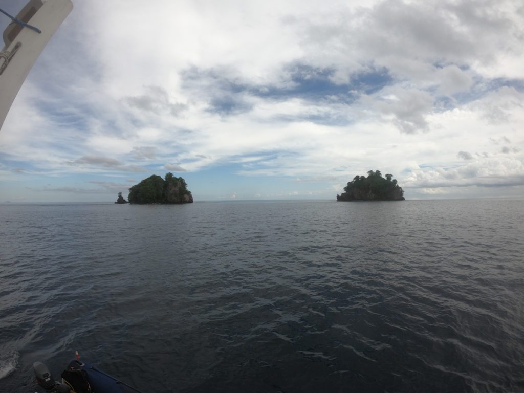 diving pulau pisang raja ampat