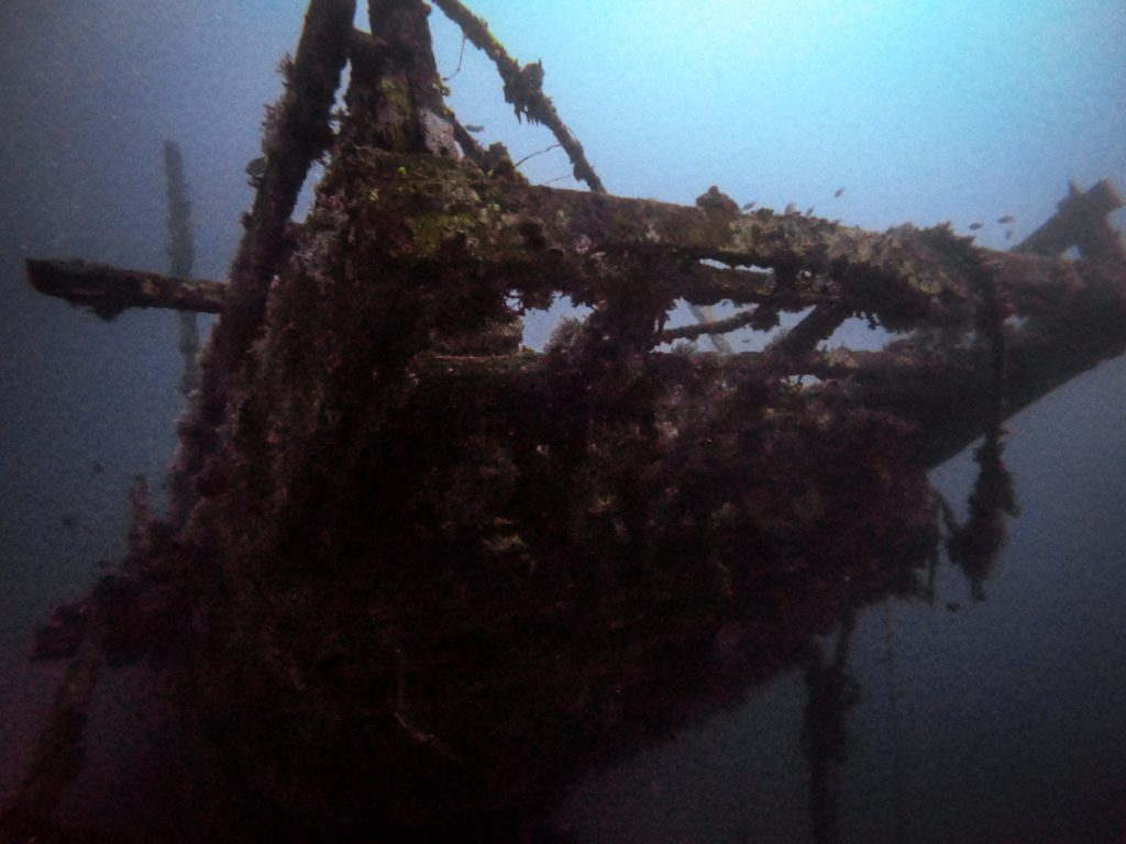 Pingara wreck diving halmahera