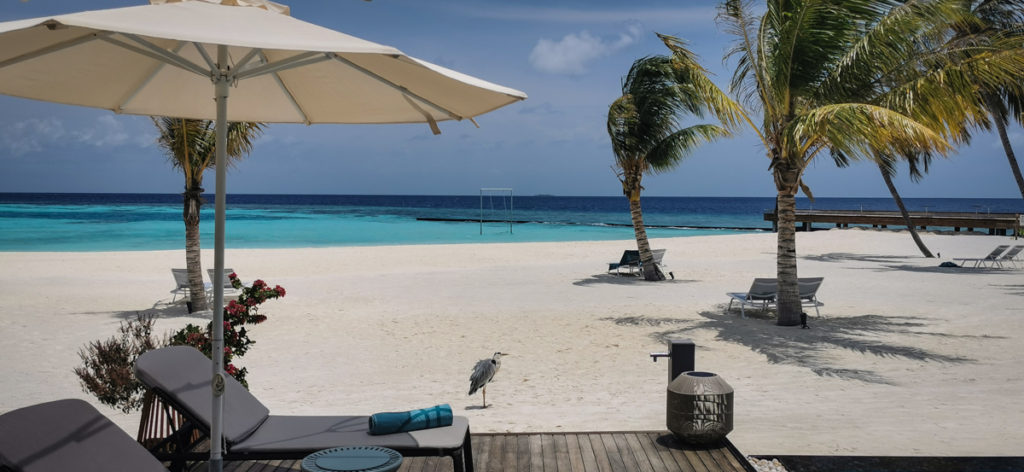 Maldives Maafushivaru resort review beach