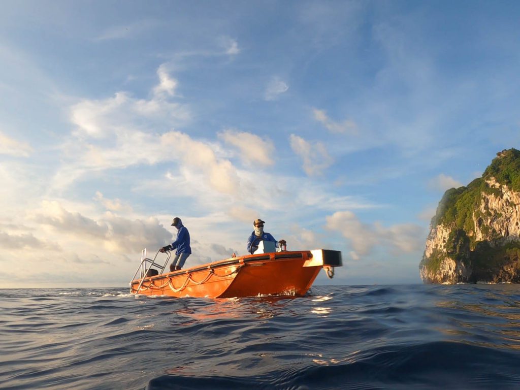 Liveaboard review of Sea Safari 6: Hammerheads galore in Banda islands