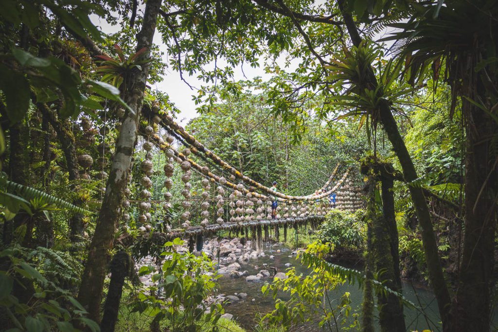 Cocos island diving bridge