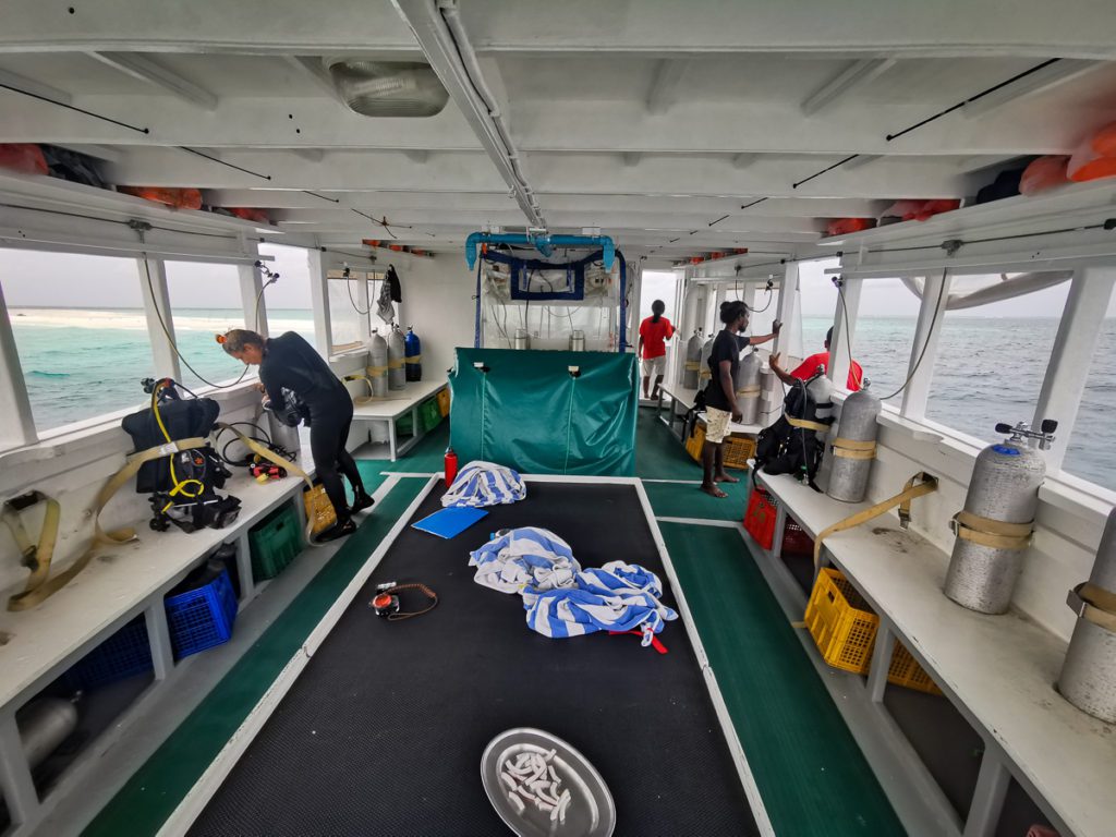 Duke of York Liveaboard review diving dhony