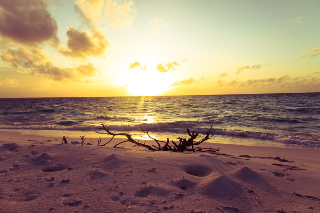 Maldives beach sunset