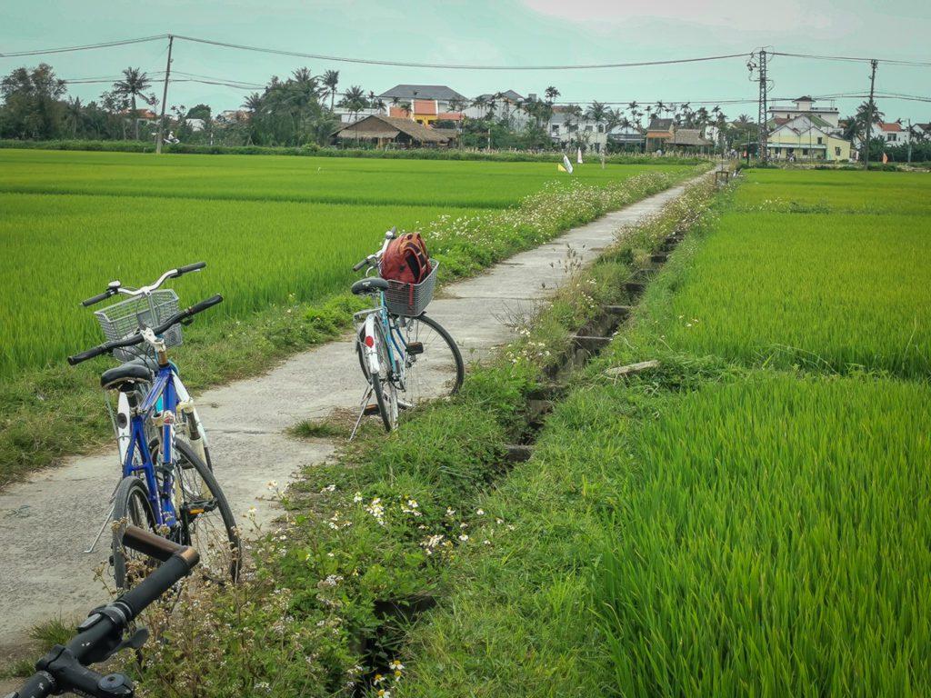 Experience travel group tour in Hoi An