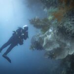 Neptune sea fans diving
