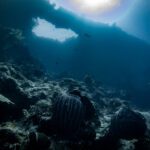Diver silhouetted beneath a wreck against a bright sunburst