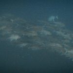 Faint shapes in hazy grey-green water