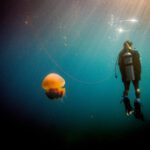 Orange jellyfish drifting in green water with a diver behind