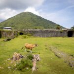 banda neira tour fort nassau