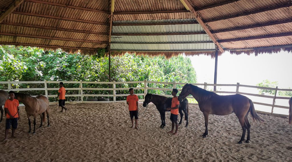 NIHI Retreat and conquer horse therapy review