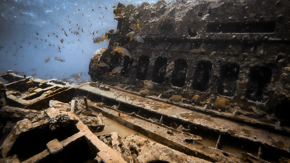 Tubbataha dive site Malayan wreck
