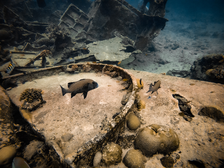 Tubbataha dive site Malayan wreck