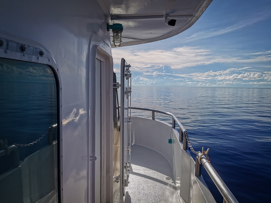 Infiniti liveaboard review
