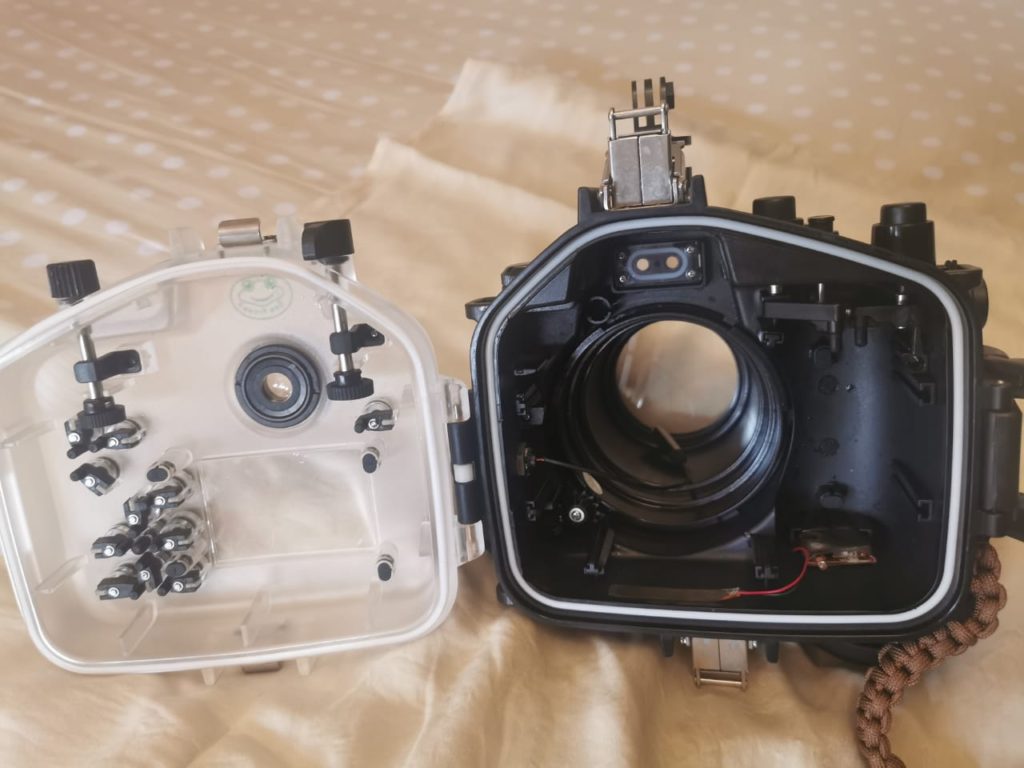 Seafrog underwater housing canon R review