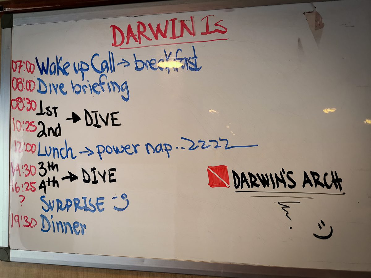 Whiteboard dive briefing for Darwin Island aboard the Galapagos Sky, showing the day's plan and dive times