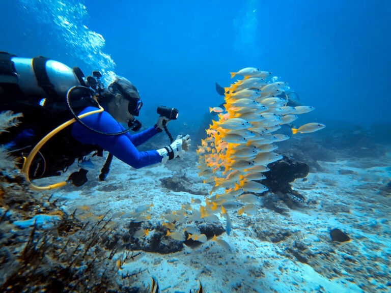 What's in My Dive Bag: The Scuba Gear I Actually Use After 1,500+ Dives Mioskon diving raja ampt