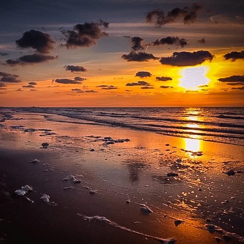 Golden sunset over the low-tide beach between De Panne and Sint-Idesbald