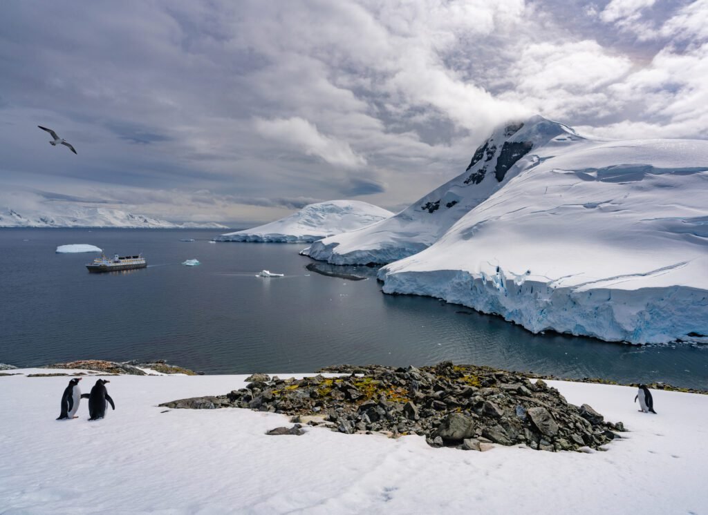 Aureum anchored off a penguin colony, Antarctica