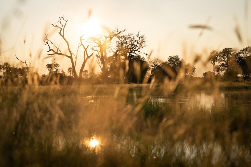 Sunset over the floodplains of Botswana’s Okavango Delta, setting for Singita Elela