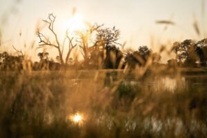 Sunset over the floodplains of Botswana’s Okavango Delta, setting for Singita Elela