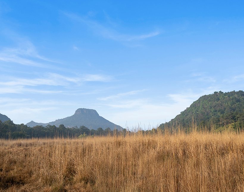 Grassland and hills of the Bandhavgarh tiger reserve near The Oberoi Vindhyavilas Wildlife Resort