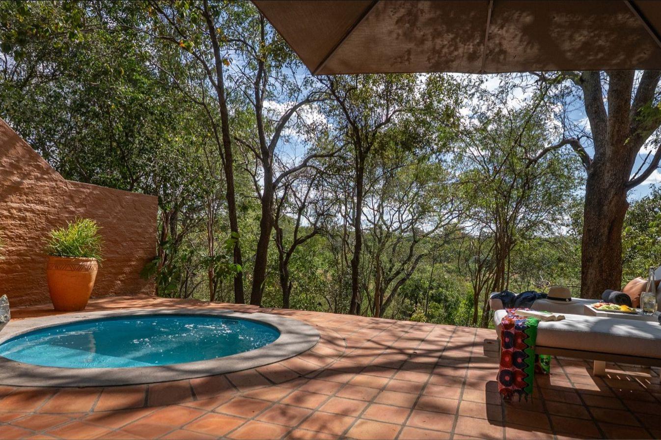A private plunge pool and terrace at Albida - Victoria Falls, looking out over the bush