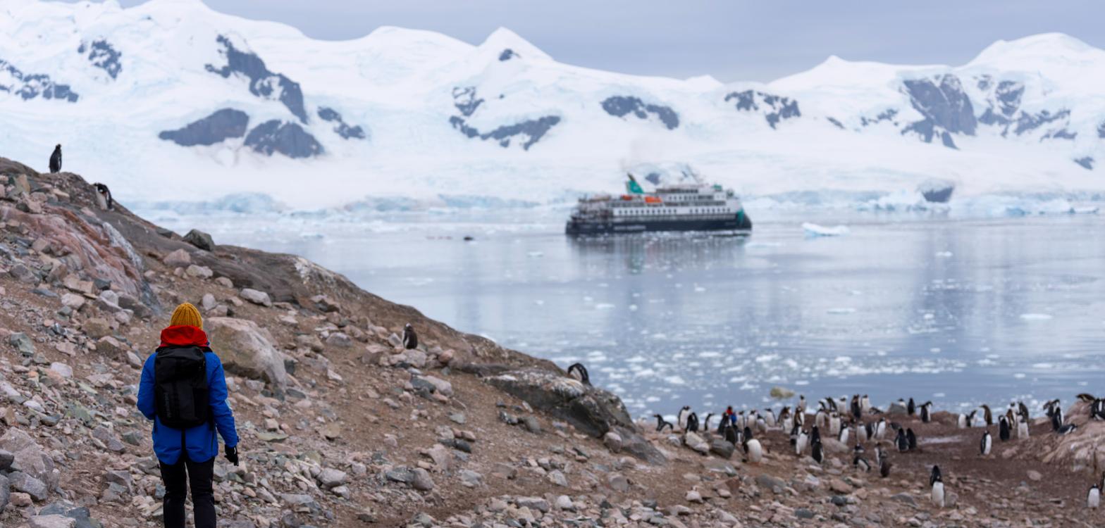 Expedition guest walking past a gentoo penguin colony with the Douglas Mawson at anchor in brash ice, Neko Harbour, Antarctica