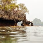 Snorkelling along the karst islands off Barracuda Rock, Misool, October 2026