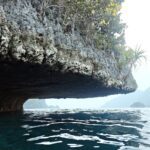 Snorkelling along the karst islands off Barracuda Rock, Misool, October 2026