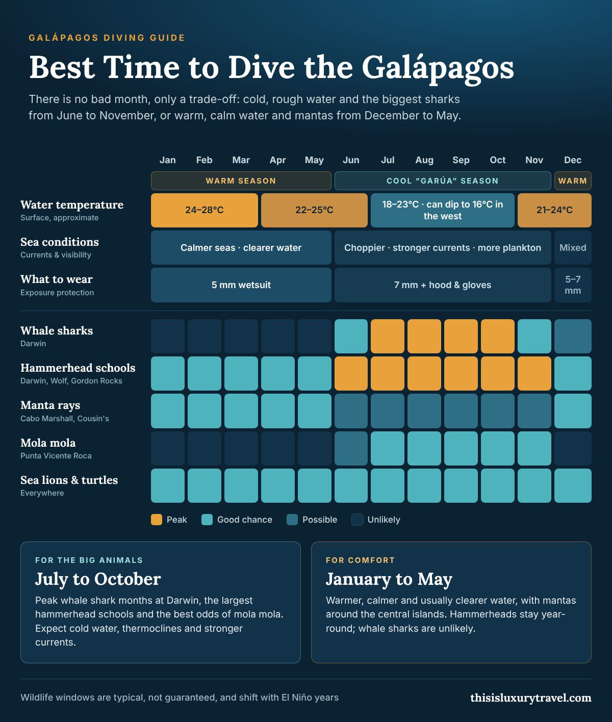 Best time to dive the Galápagos: month-by-month water temperature, sea conditions, whale shark, hammerhead, manta and mola mola seasons