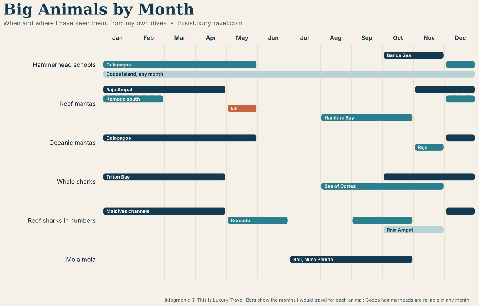 Big animals by month: when and where I have seen hammerhead schools, reef and oceanic mantas, whale sharks, reef sharks and mola mola