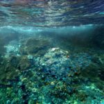 Snorkelling at Boo West and Boo East, Misool, Raja Ampat, October 2026