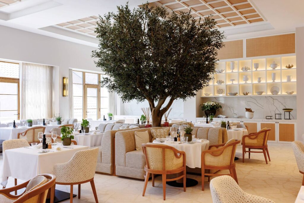 MARE restaurant with an olive tree at The Bristol Bol hotel, Bol