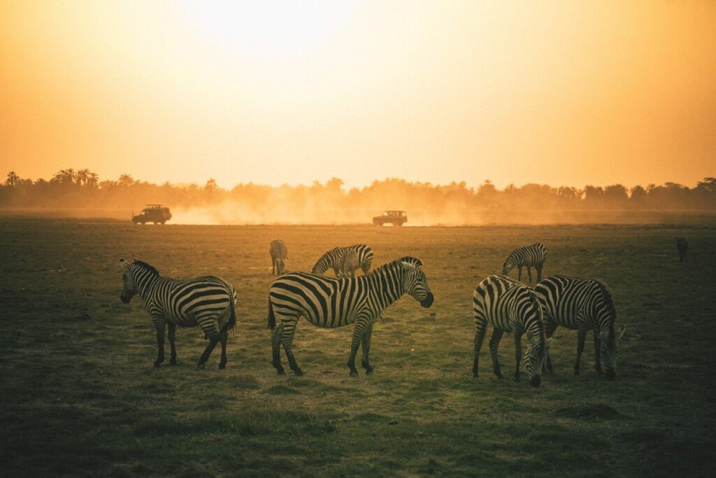 Safari vehicle on the Tanzanian plains, served by British Airways from May 2027