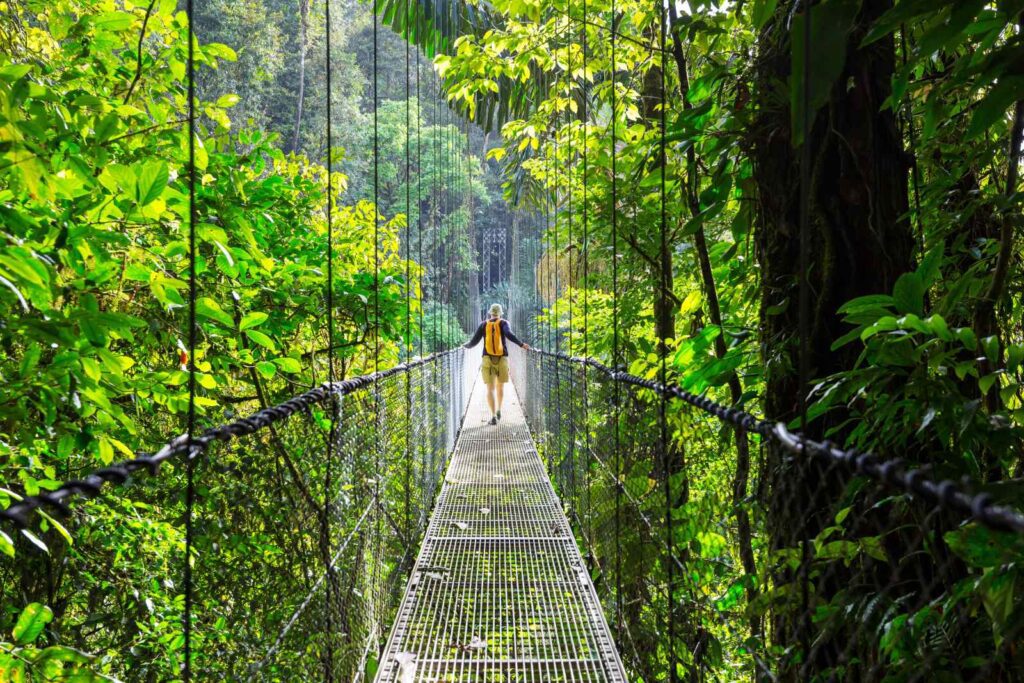 Hanging bridge through the rainforest canopy in Costa Rica