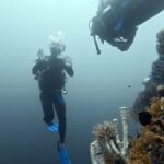 Diving at Four Kings, Misool, Raja Ampat, October 2026