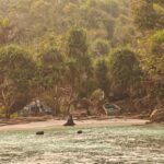 Snorkelling at Gorgonian Passage, Misool, Raja Ampat, October 2026